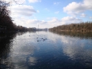Winterbilder des Rheins/Winter images on the Rhine