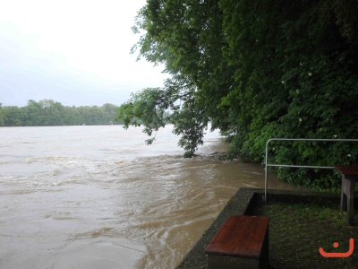Der Rhein bei Hochwasser_1
